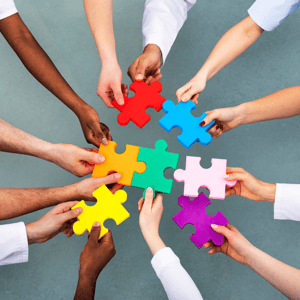 verenigingsstructuur